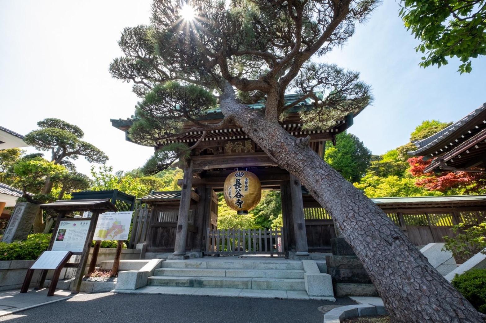 Japanese Modern Inn 鎌倉楽庵ハナレ Kamakura Extérieur photo